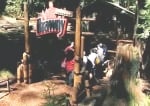 brawny_academy.jpg