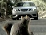 bridgestone_squirrels.jpg