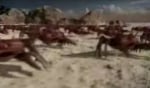 bud_crabs.jpg