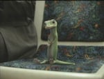 geico-gecko-migration.jpg
