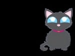 image_cat.jpg