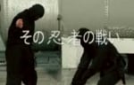 ninja_warriors.JPG
