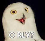 orly_bird.jpeg
