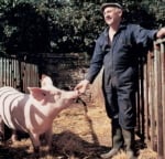 pig-and-farmer.jpg
