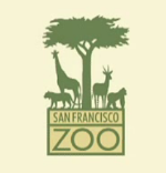 sf_zoo_puma.png