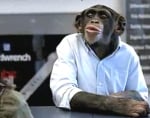 trunk_monkey_sub_new.jpg